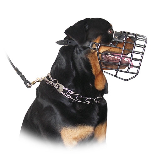 Wire Dog Muzzle