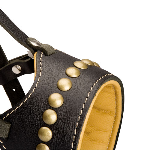 Studded padded muzzle