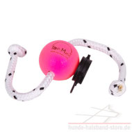 Top-Matic Fun Ball Puppy SUPER SOFT pink+MULTI Power Clip