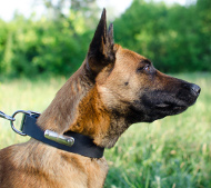 Malinois Hunde Halsband mit ID-Tag