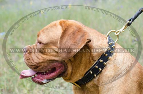Design Hundehalsband Leder für Bordeauxdogge