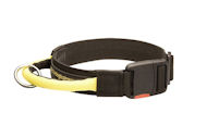 Nylon Hundehalsband mit Verschluss und dem Griff