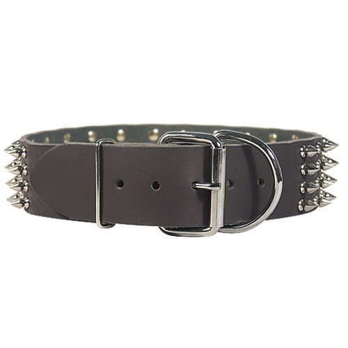 Extra wide spiked dog collar 