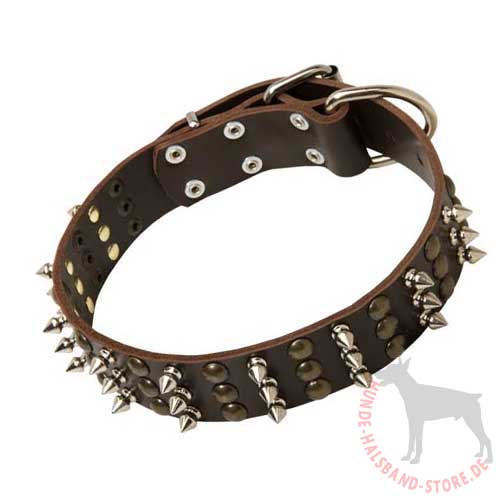 Designer Dog Collar with Studs and Spikes 