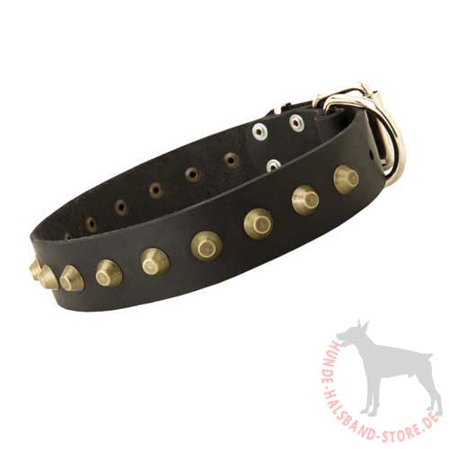 Dog Collar Exclusive 