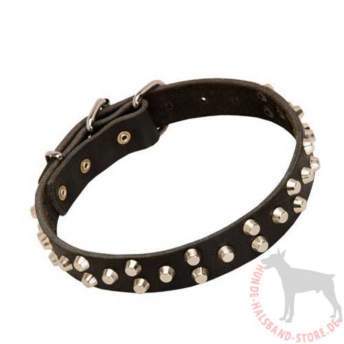 Studded Collar for Dogs 