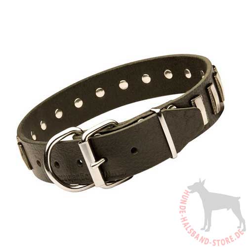 Wide Studded Dog Collar Made of Leather 