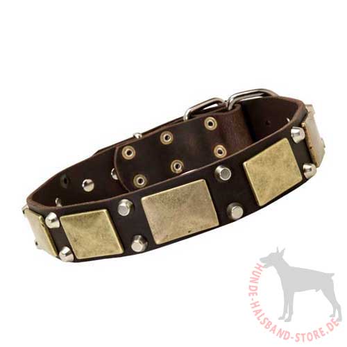 Hundehalsband Leder Luxus