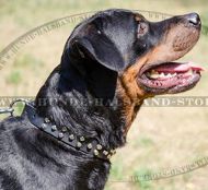 Nietenhalsband mit 3 Reihen von Pyramiden für Rottweiler