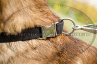 Allwetter Hundehalsband aus Nylon für Malinois