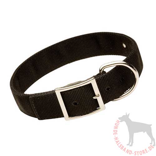 Hundehalsband Nylon mit ID-Tag 