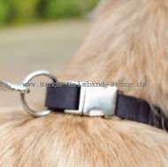 Praktisches Nylon Hundehalsband für Tervueren Hunde