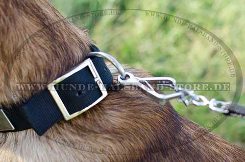 Elegant Dog Collar for Malinois Made of Nylon with Plates 