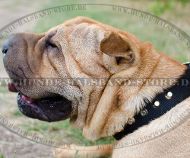 Halsband mit Pyramiden aus Nylon für Shar-Pei