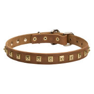 Caterpillar Leather Dog Collar with Square Studs, 25mm