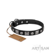 Ledernes Hundehalsband im Piraten Stil