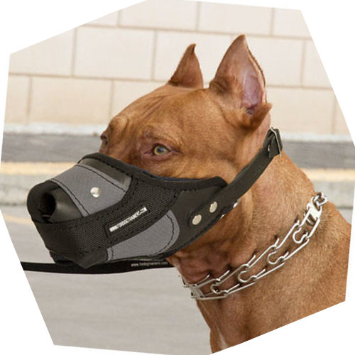 Pit Bull Padded Dog Muzzle 