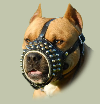 Studded leather dog muzzle