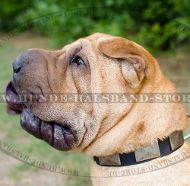 Lederhalsband mit Messing Schildern für Shar-Pei