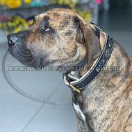 Presa Canario geflochtenes Lederhalsband FDT