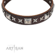 Hundehalsband braun mit Designer Schmuck