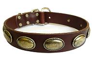 Gorgeous Vintage Dog Leather Collar "Retro Rulz"