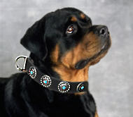 New Leather Dog Collar with Blue Stones