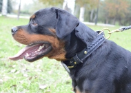 Bestseller Hundehalsband Leder für Rottweiler, geflochtenes Superhalsband