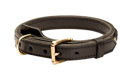 dog collar leather