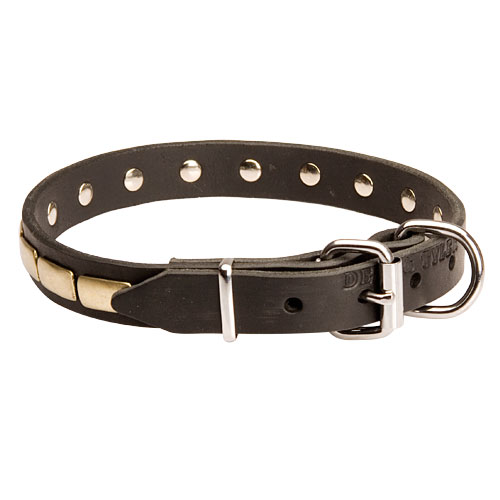 dog leather collar