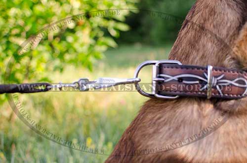 Exklusives Bemaltes Lederhalsband für Malinois 