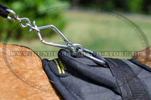 Cane Corso Harness Nylon 