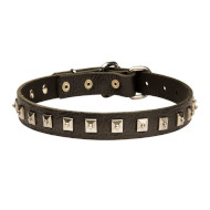 Caterpillar Leather Dog Collar with Square Studs, 25mm