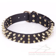 Fordogtrainers Lederhalsband in Schwarz mit Messing Spikes