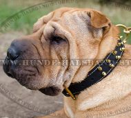 Einzigartiges Lederhalsband für Shar-Pei