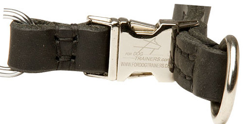 Dog Pinch Collar