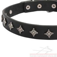 Hundehalsband Leder mit traumhaftem Design