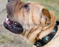 Hundehalsband mit Blauen Steinen für Shar-Pei
