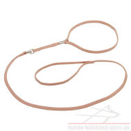 Halsband+Leine Set aus Nylon