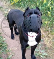 Ledermaulkorb "Dondi plus" für Cane Corso