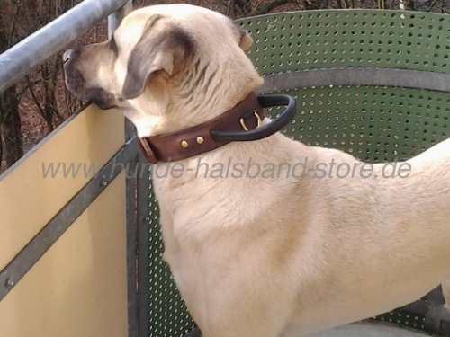 Reliable collar for dog training with handle