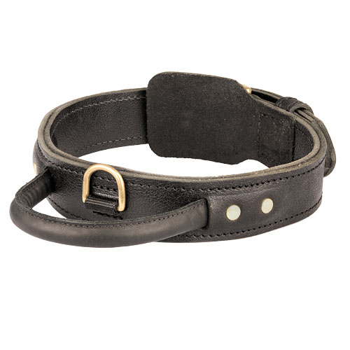 Akita Hundehalsband Leder mit Handschlaufe ❺❺❺