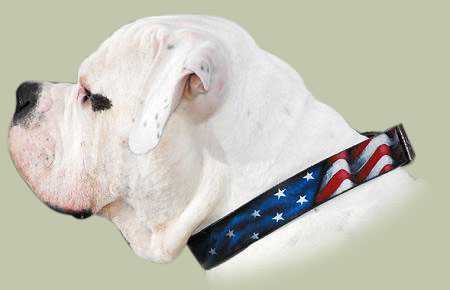 Bemaltes Hundehalsband fur American Bulldog