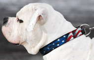 American Pride Bemaltes Hundehalsband aus Leder