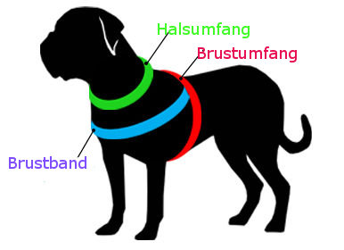 Hund richtig messen