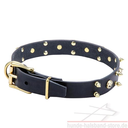 stilvolles Halsband Hund