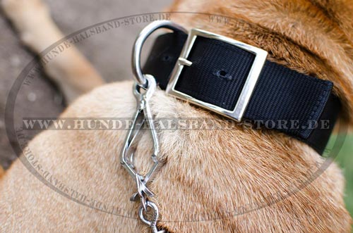 Shar Pei Hundehalsband mit ID
