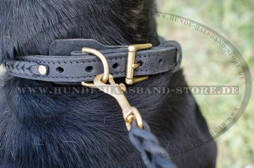 Halsband für Schweizer Sennenhund 