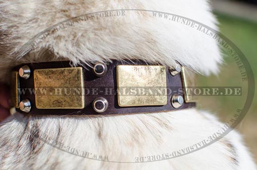 Halsband für Husky mit Platten und Pyramiden