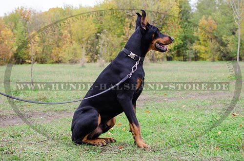 Nylonhalsband für Dobermann mit Schnellverschluss